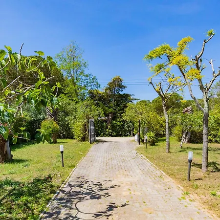 Villino Michela - Helloelba *